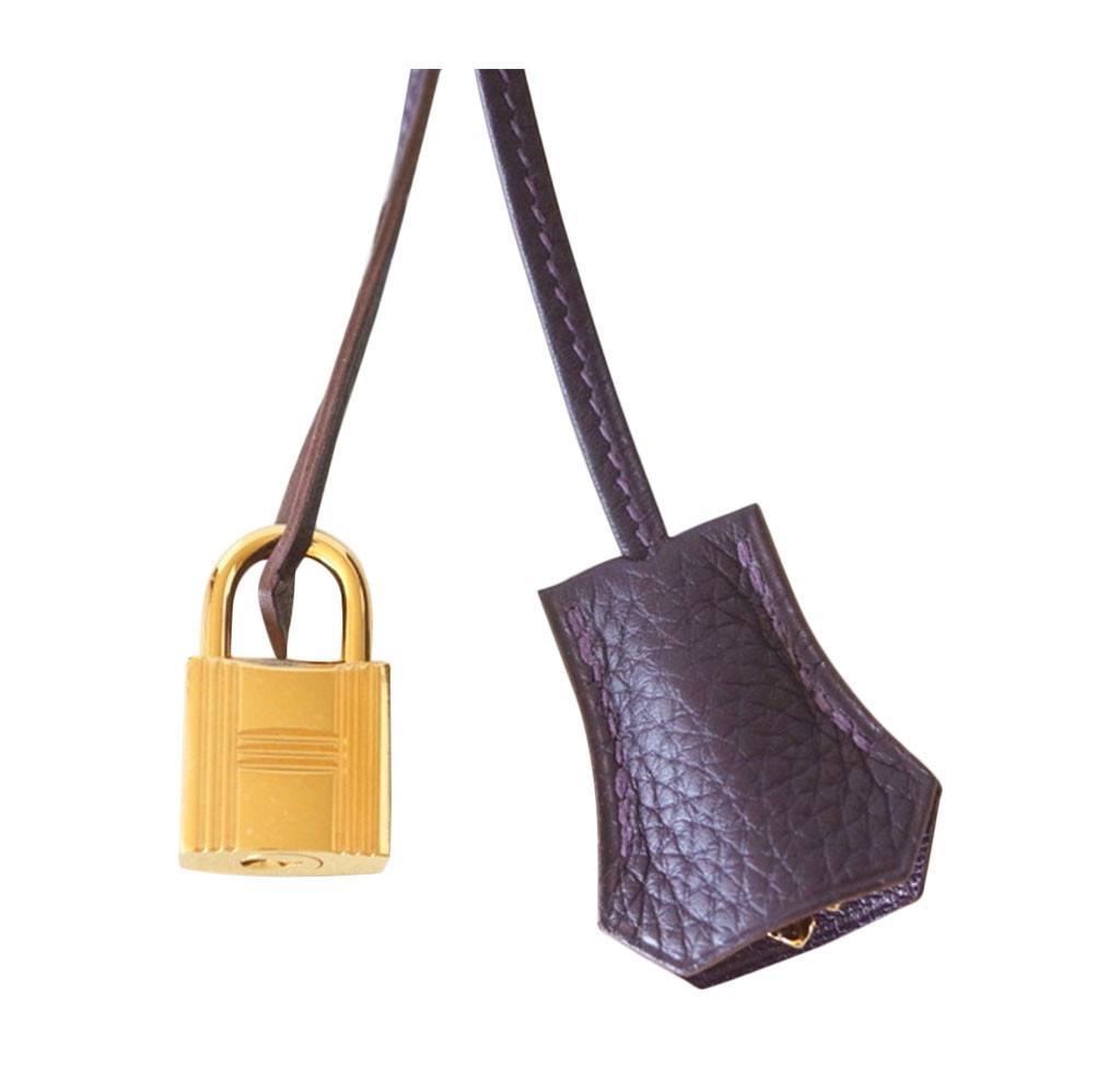 Hermes Birkin 30 Raisin Togo Leather Gold Hardware