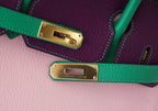 Hermès Birkin 30 Tri-Color Chevre Horseshoe Bag GHW