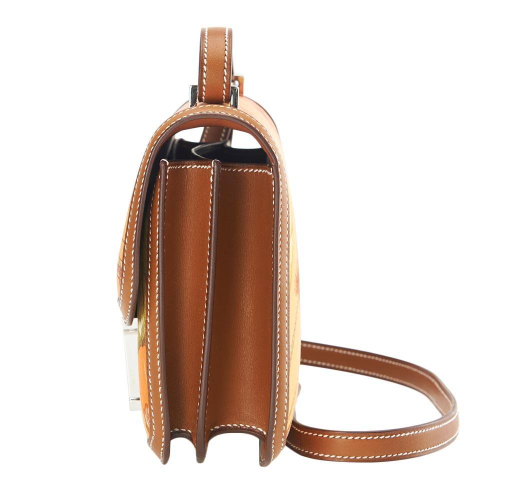 Hermes Constance Mini 18 Brasil Mangue Barenia Silk Swift Leather Palladium Hardware